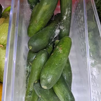 Profilo Buzdolabı Sebzeliği Sebzeleri Donduruyor.