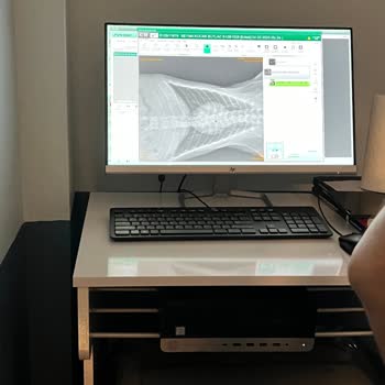 Biome Veteriner Polikliniği Veterinerin İş Bilmemezliği, Yanlış Teşhis