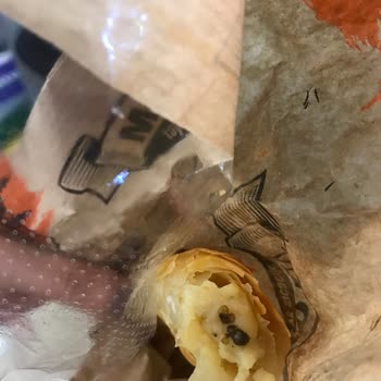 Migros Börekten Böcek Çıktı!