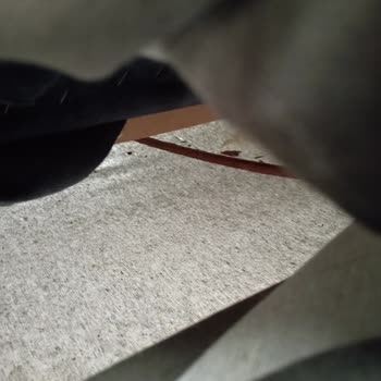 Vivense Pişmanlıktır Kesinlikle Alışveriş Yapmayı Düşünmeyin