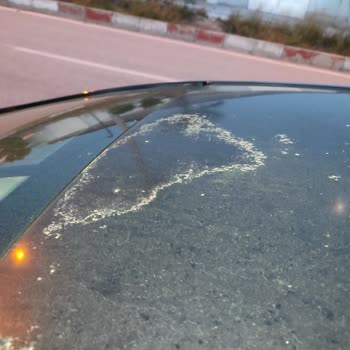 Renault Araç Tavan Vernik Soyulması