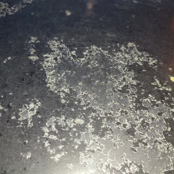 Renault Araç Tavan Vernik Soyulması