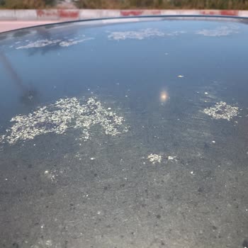 Renault Araç Tavan Vernik Soyulması