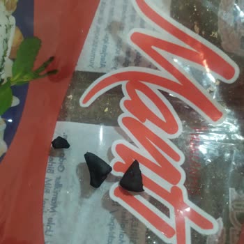 BİM Ekmecik Marka Mantinin İçinden Çıkan Siyah Parçalar!