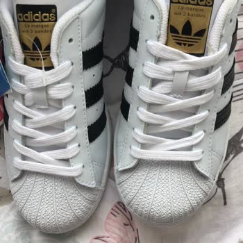 Vega Spor Mesajlara Geri Dönüş Sağlamıyor