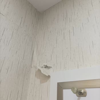 DASK Eksper Atamadan Hasar Dosyasını Değerlendirme Dışı Bıraktı