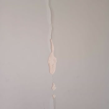 DASK (Doğal Afet Sigortaları Kurumu) Deprem Sonrası Hasarım İçin 3 Aydır Ödeme Yapılmadı