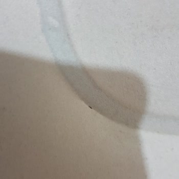 Decathlon Şişme Yatak Ek Yerleri Açılıyor