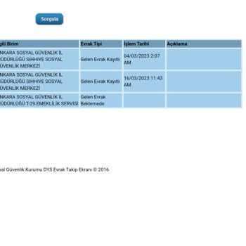 T. C. Cumhurbaşkanlığı&nbsp; Süreci Cevapsız