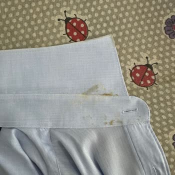 Tefal Pro Express Ütü