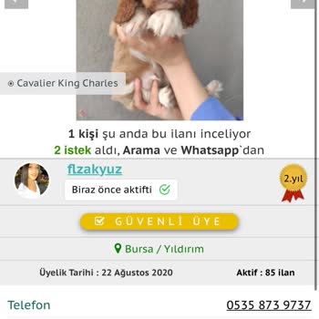 Kopekdunyasi.com Köpek Sağlık Garantisi Verildi Ama Kaybettik