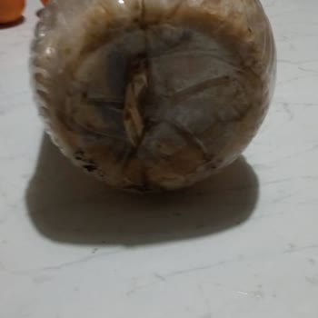 Ege Yöresel Pazar Sipariş Mağduriyeti, Kötü Müşteri İlişkileri