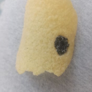 Pringles Üstünde Siyah Bir Şey Var