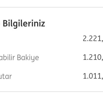 ING Haciz Bloke, Kullanılabilecek Bakiyeyi Kullanamama Sorunsalı