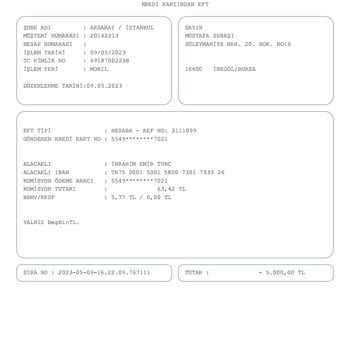 investgeo.org 35000 TL Parama El Koydu