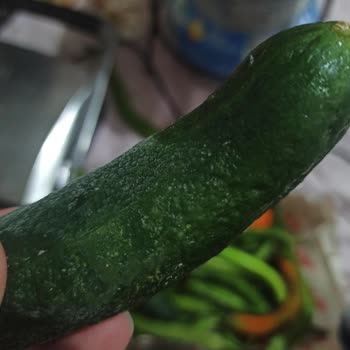 Bosch Buzdolabı Çürütüyor Veya Donduruyor İade İstiyorum