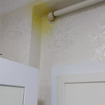 Detan Örümcek İlacı Sarı Leke Bırakıyor