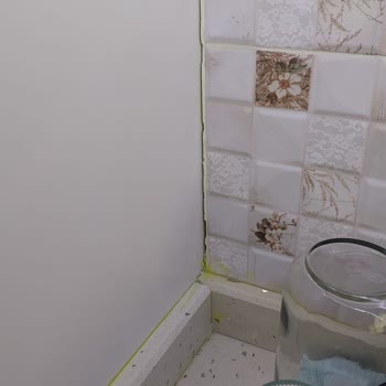 Detan Örümcek İlacı Sarı Leke Bırakıyor