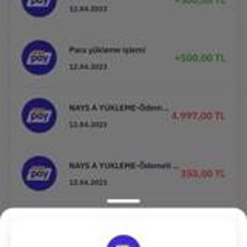 Nays Yaptığım İşlem Hesabımda Gözükmüyor