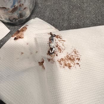 Burger King Suflede Demir Çıkması