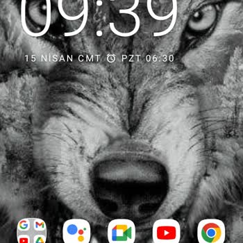 Hiking Teknik Servis A22 Android Sürüm Hatası