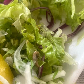 Hacıbaşar Kebap Yeşillikten Çıkan Böcek