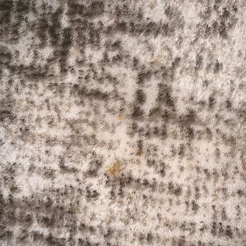 Dinçerler Halı Yıkama (İstanbul) Saygısızlık