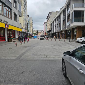 İstanbul Büyükşehir Belediyesi (İBB) İstanbul Çekmeköy Taşdelen Mah. Kasis Talebi