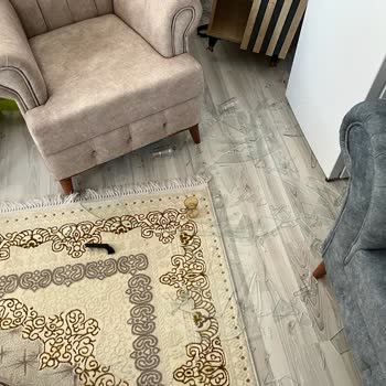 Depremzedeyim Yardım Bekliyorum Ama Dönüş Sağlanmadı.