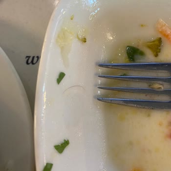 Kayseri Mutfağı Salatanın İçinden Kıl Çıkması