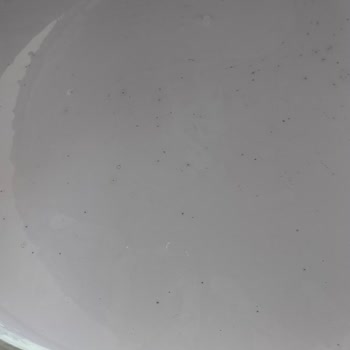 Marshall Boya Farklı Renk Çıktı