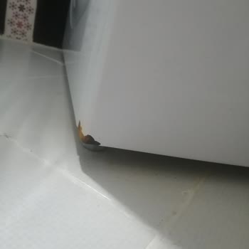 Siemens Çamaşır Makinesi Paslanması