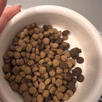 Petzz Kuaför Mama Satışı Sorunu