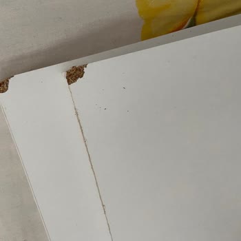 A101 Siparişimi İptal Etmiyor Ve Gönderdiği Ürün Hasarlı