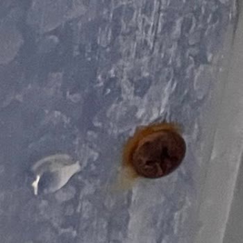 Akdeniz Cam Balkon Kötü Malzeme Kullanımı Şikayete Karşılık Duyarsızlık