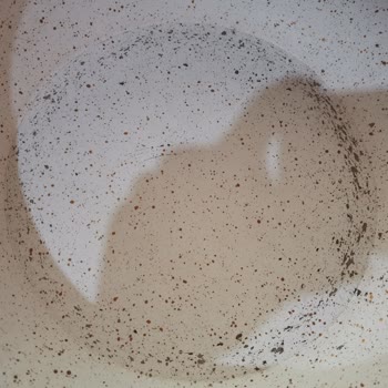 Lines Marka Tenceremde Soyulmalar Oluştu