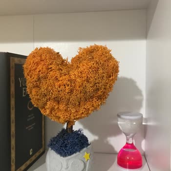 Mossiumtr.com Müşteri İle İlgilenmiyor