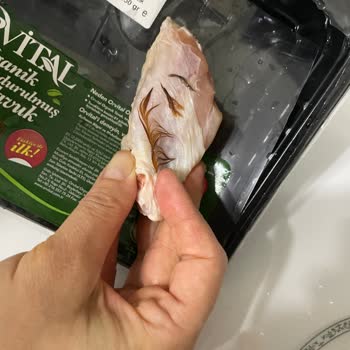 Bol Tüylü Orvital Tavuk