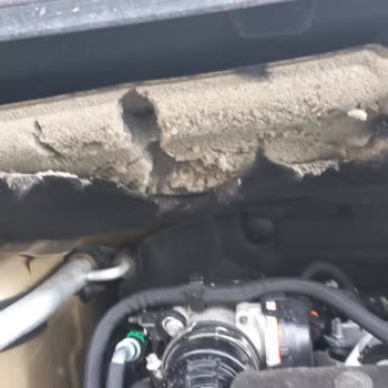 Peugeot Rifter Geri Çağırma