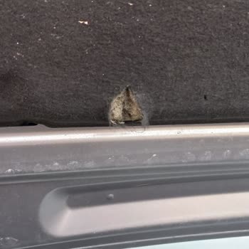 Peugeot Rifter Geri Çağırma