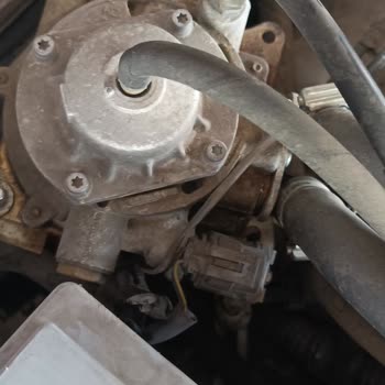 Prins LPG Fiyat Politikası