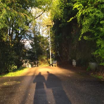 Samsung Telefon Sorunumun Çözülmesini İstiyorum