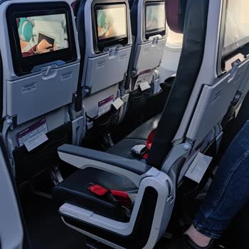 THY Check-in Mağduriyeti