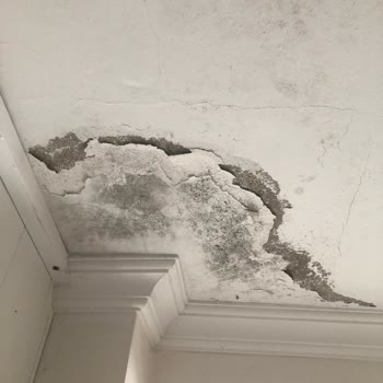 Mapfre Sigorta'nın İlgisiz Davranışları