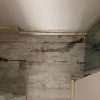 Mapfre Sigorta'nın İlgisiz Davranışları