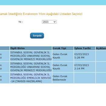 SGK Emeklilik Başvurumun Sonuçlanması İçin Ne Yapmam Gerekiyor?