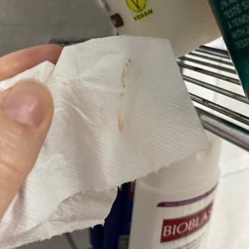 Evidea Teknotel Üç Katlı Krom Pratik Duşakabin Rafı Paslanıyor