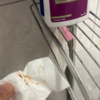 Evidea Teknotel Üç Katlı Krom Pratik Duşakabin Rafı Paslanıyor