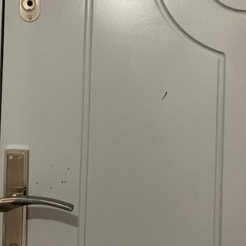 Marshall Panel Kapı Boyası Çıkıyor