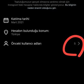 My Dream Organization (İstanbul) Diğer Adı Hiraorganizasyonn_ Olan Sayfanın İnsanları Mağdur Etmesi